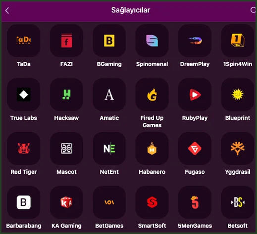 Sağlayıcı listesi sonu Aşağı kaydırılmış Sağlayıcılar sayfası TaDa ve FAZI'den Barbarabang, KA Gaming, BetGames, SmartSoft, 5MenGames ve Betsoft simgelerine kadar iniyor.